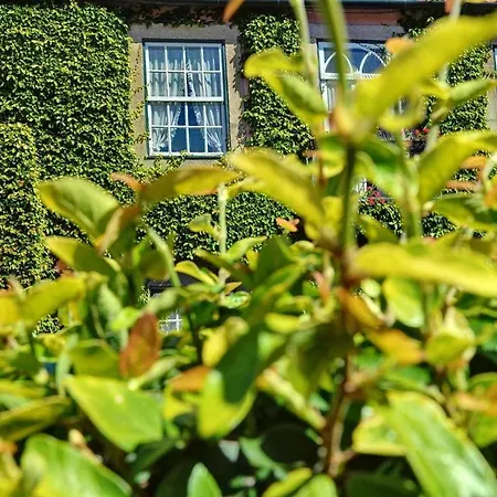 Apartament Charming In Porto, 60 M², Historic Center *